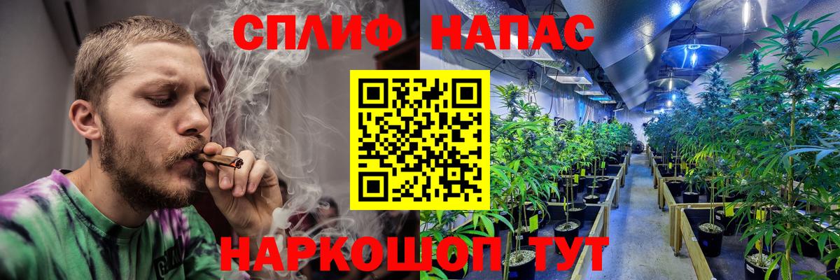 Шишки марихуана семена Богородск